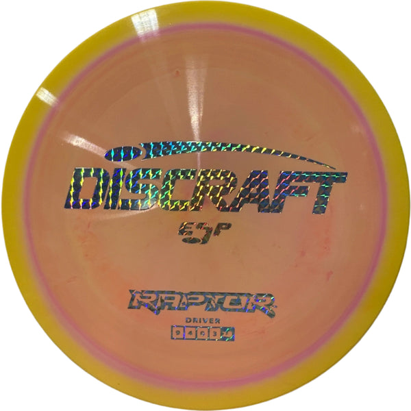 Raptor ESP