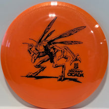 Cicada Big Z