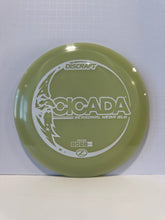 Cicada Mega Glo