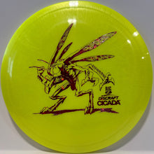 Cicada Big Z