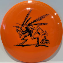 Cicada Big Z