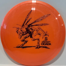 Cicada Big Z