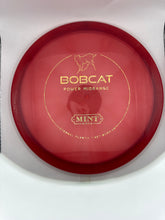 Eternal Bobcat