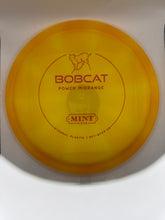 Eternal Bobcat