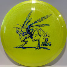 Cicada Big Z
